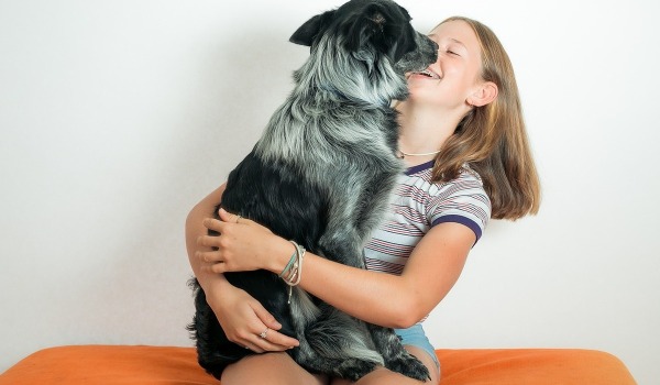 Aseo regular para tu perro