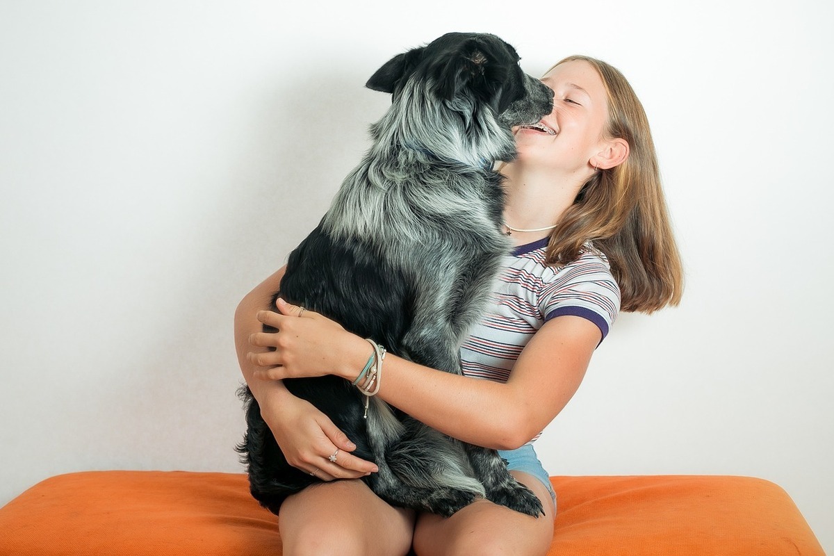 Aseo regular para tu perro